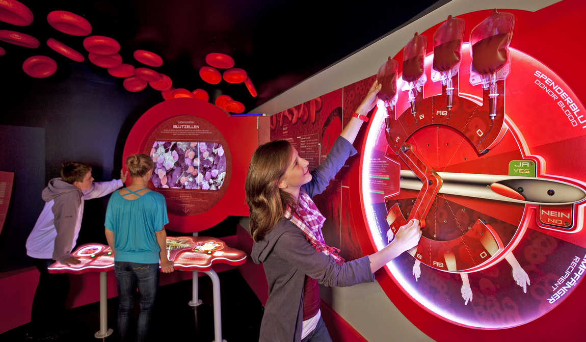 best places to visit in salzburg with kids in 7 days: your itinerary photo 8