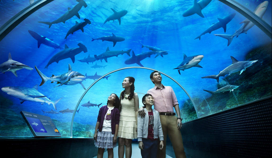 the best aquariums in the world photo 2
