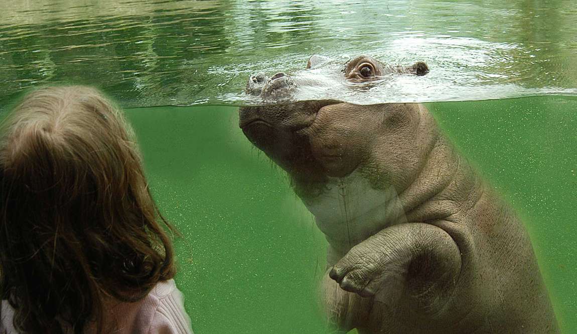 best places to visit in cologne with kids in 5 days: your itinerary photo 4