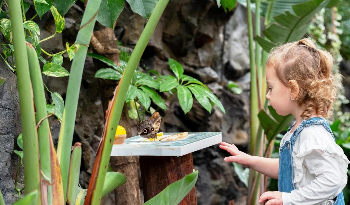 karlovy vary in June: total relaxation photo 3