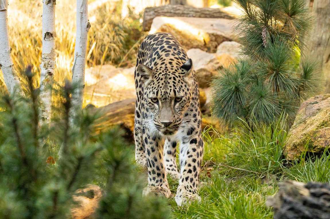 best places to visit in berlin with kids in 5 days: your itinerary photo 3