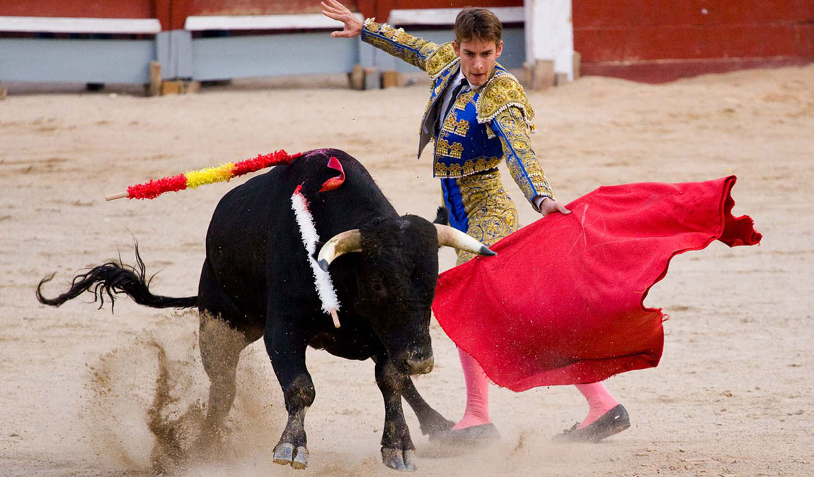 9 интересных фактов о майорке photo 2