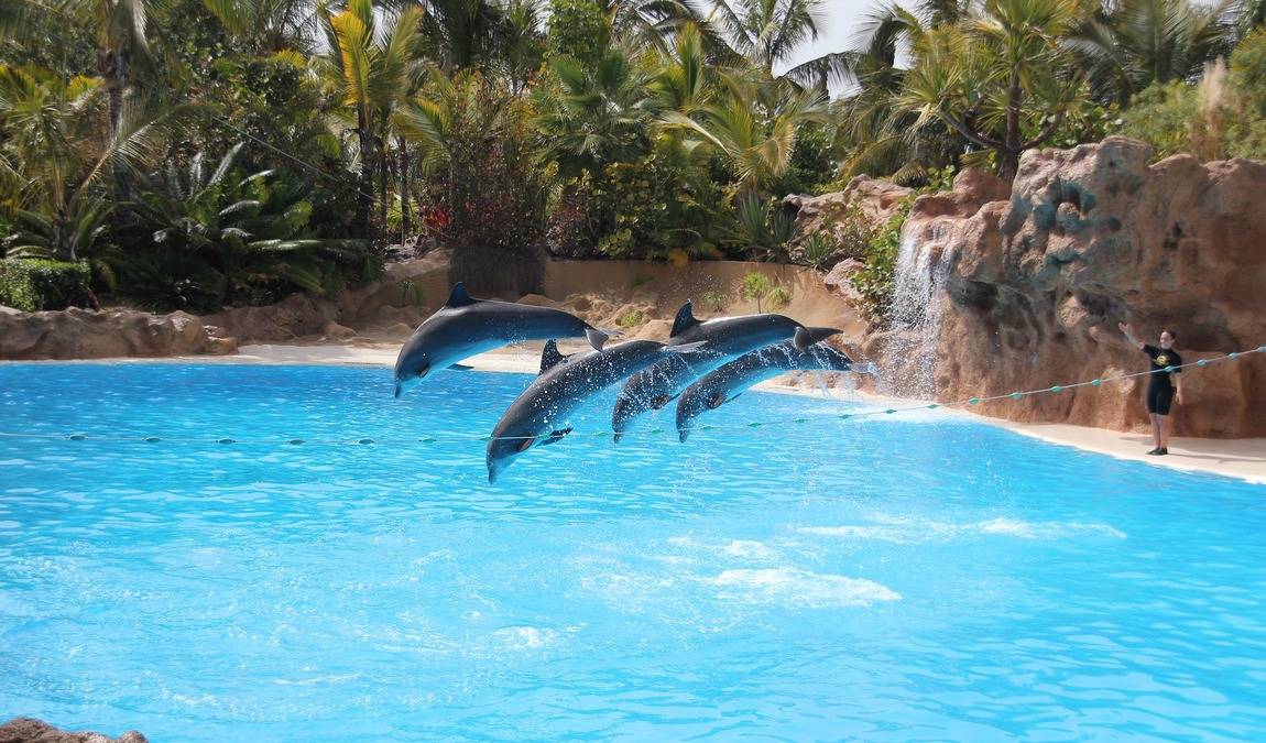 tenerife in october photo 3