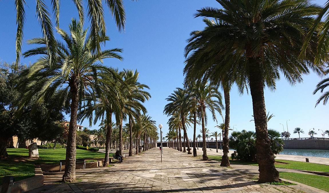 9 интересных фактов о майорке photo 1