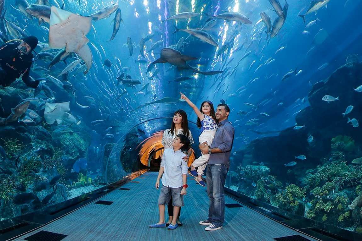 the best aquariums in the world photo 8