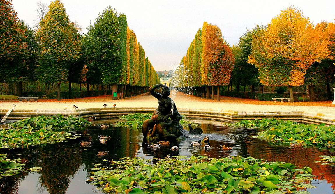 vienna in november photo 2