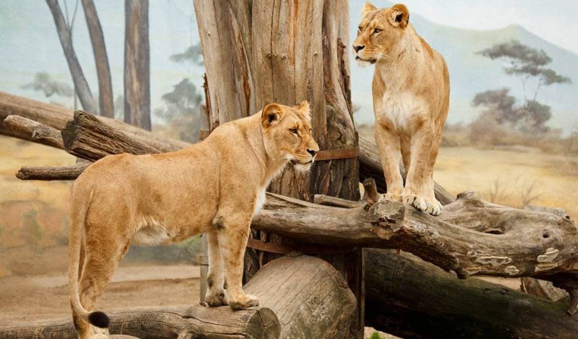 spain in october photo 9