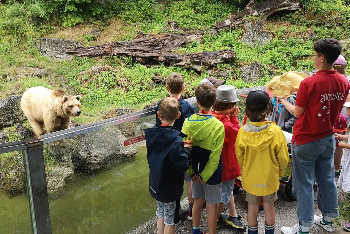 the best zoos in austria for kids photo 2