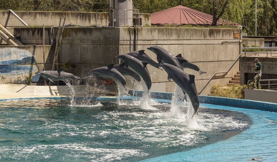 madrid in october photo 3