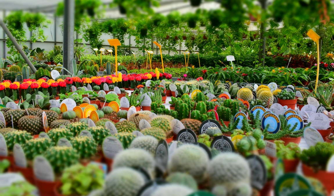 что привезти с тенерифе в подарок: 18 сувениров с острова вечной весны photo 2