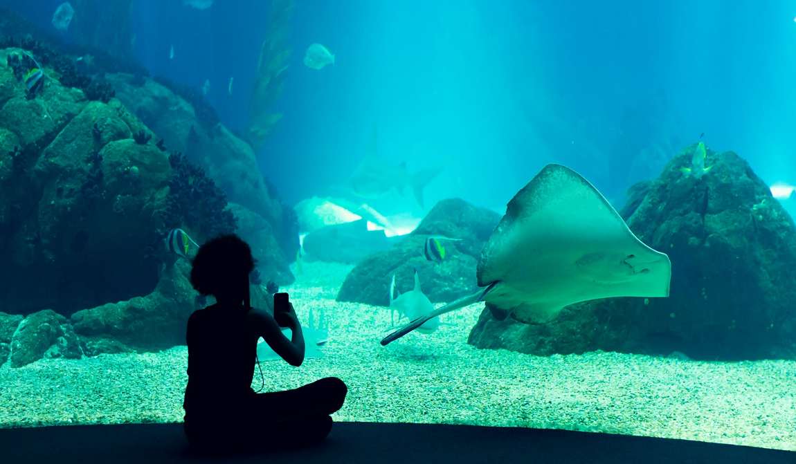 the best aquariums in the world photo 1