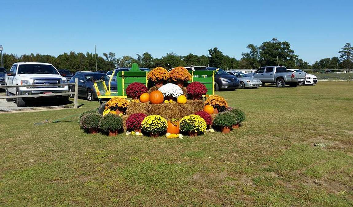 brock's berries & farm photo 2