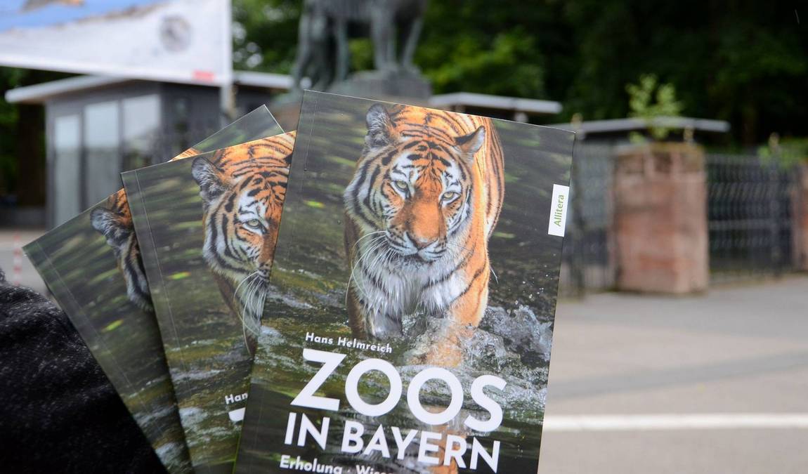 nuremberg zoo photo 7