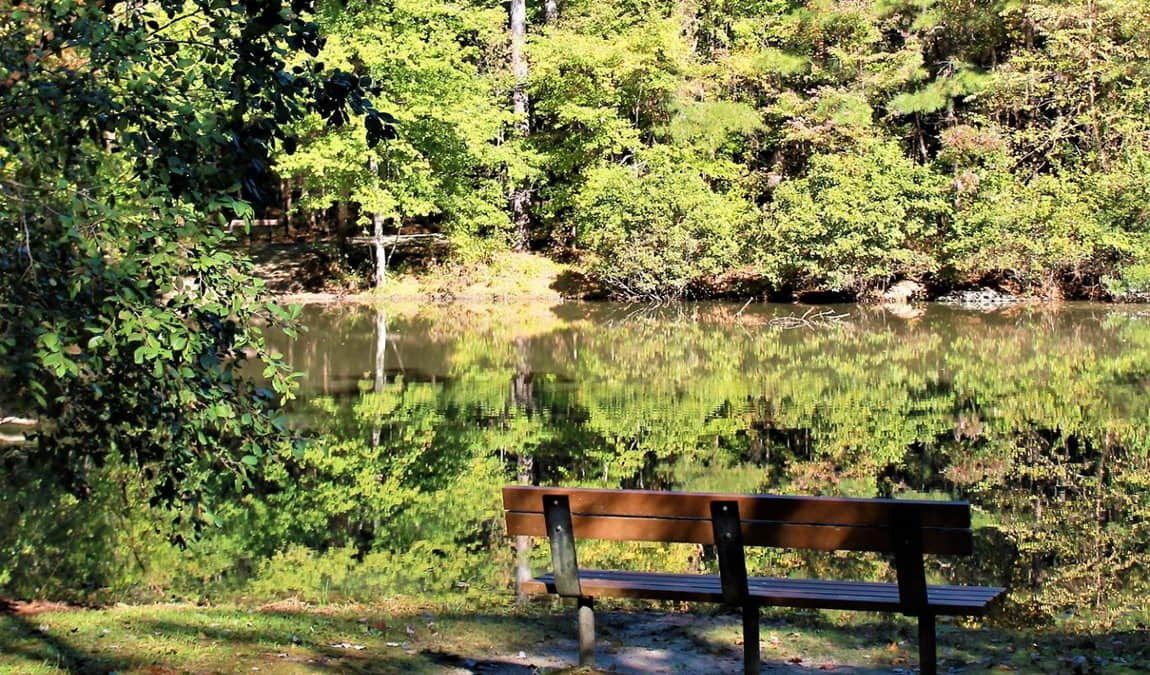 knightdale environmental park photo 1