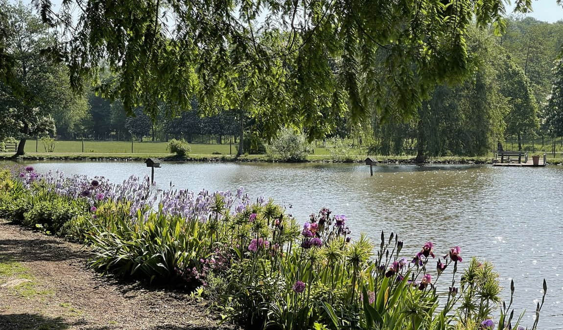 wild park castle tambach photo 5