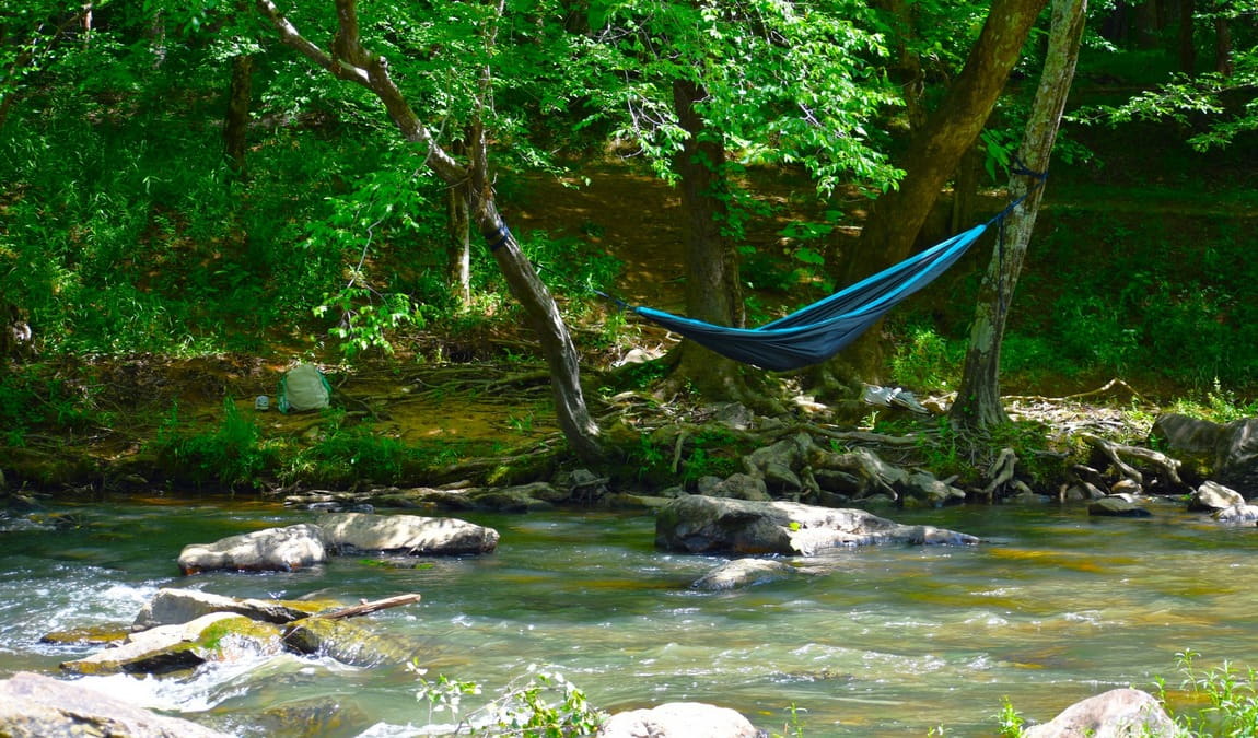 forest hills park photo 3