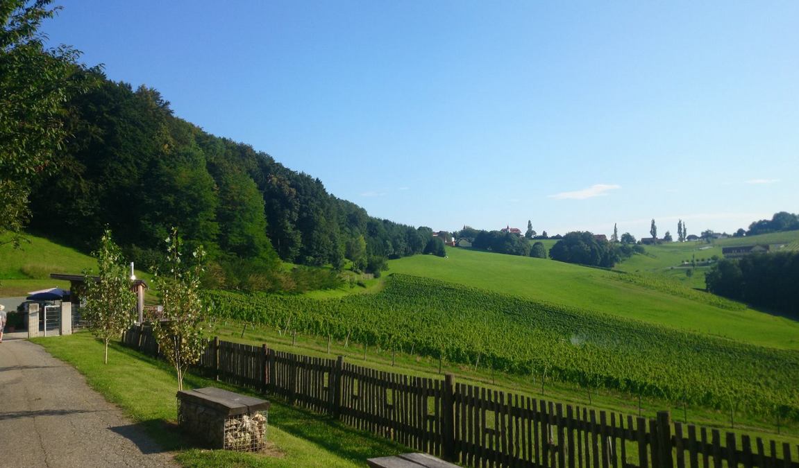 barenhof berghausen photo 5