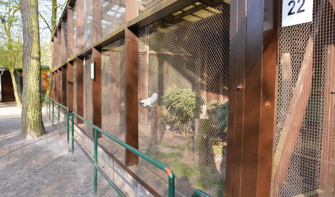 bird park schifferstadt photo 7