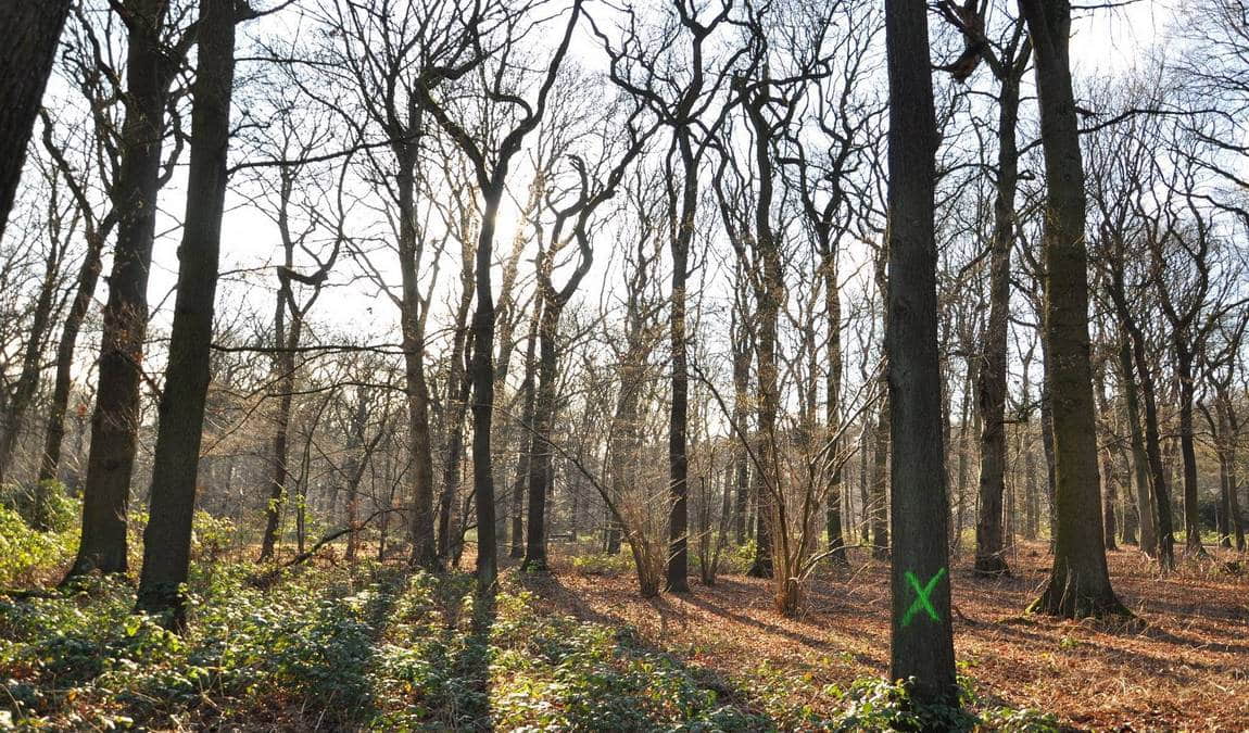 leisure park fredenbaum photo 4