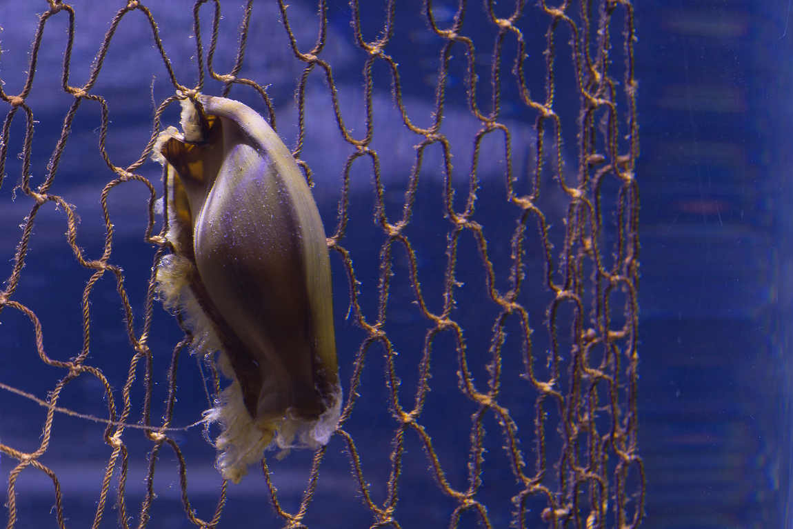 sea life oberhausen photo 2