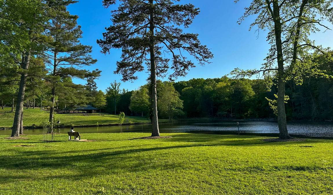 country park photo 2