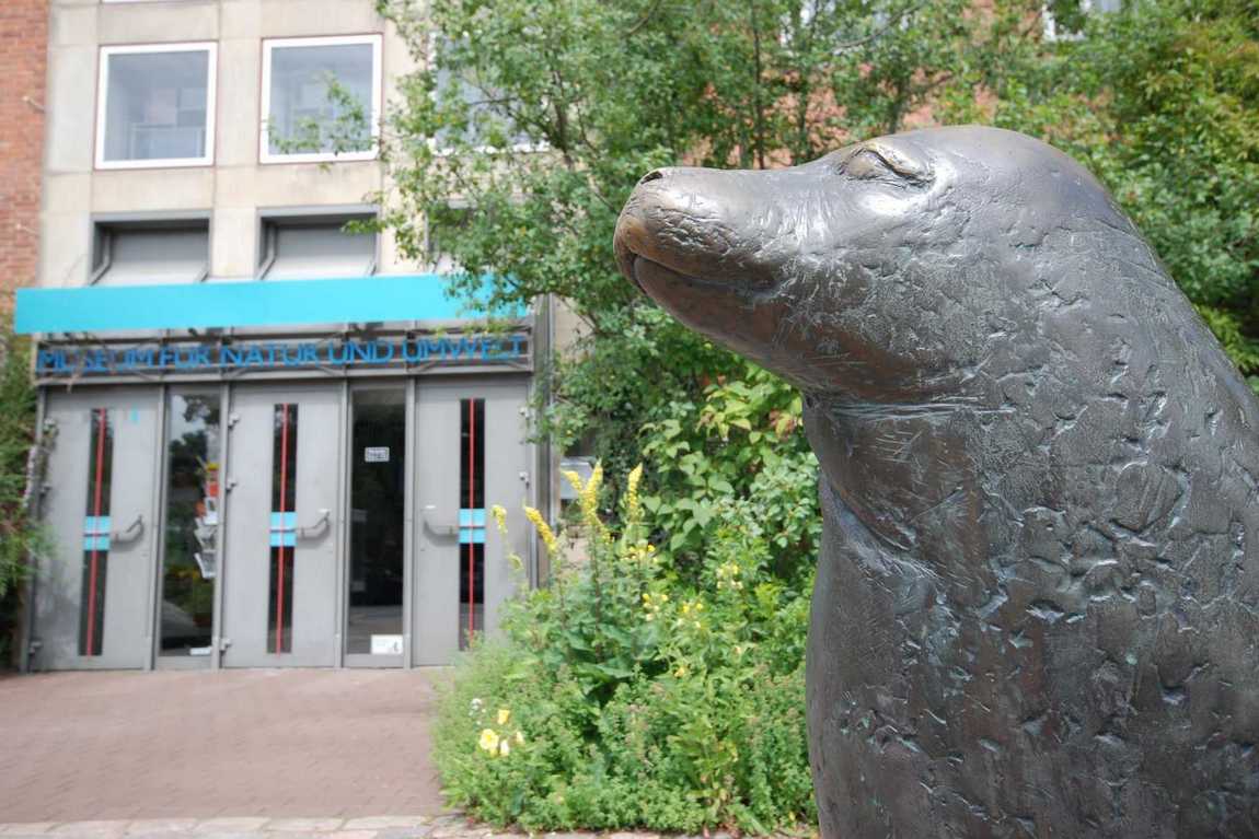 museum of nature and environment photo 1