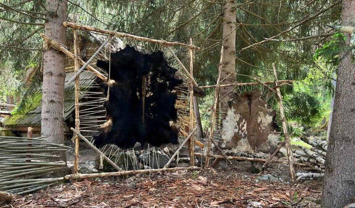 village ettsi  photo 2