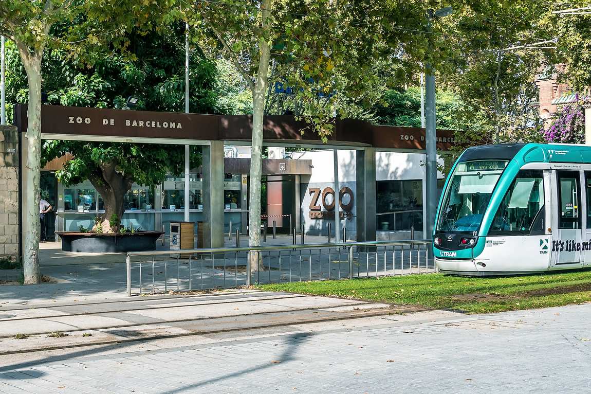 barcelona zoo photo 1