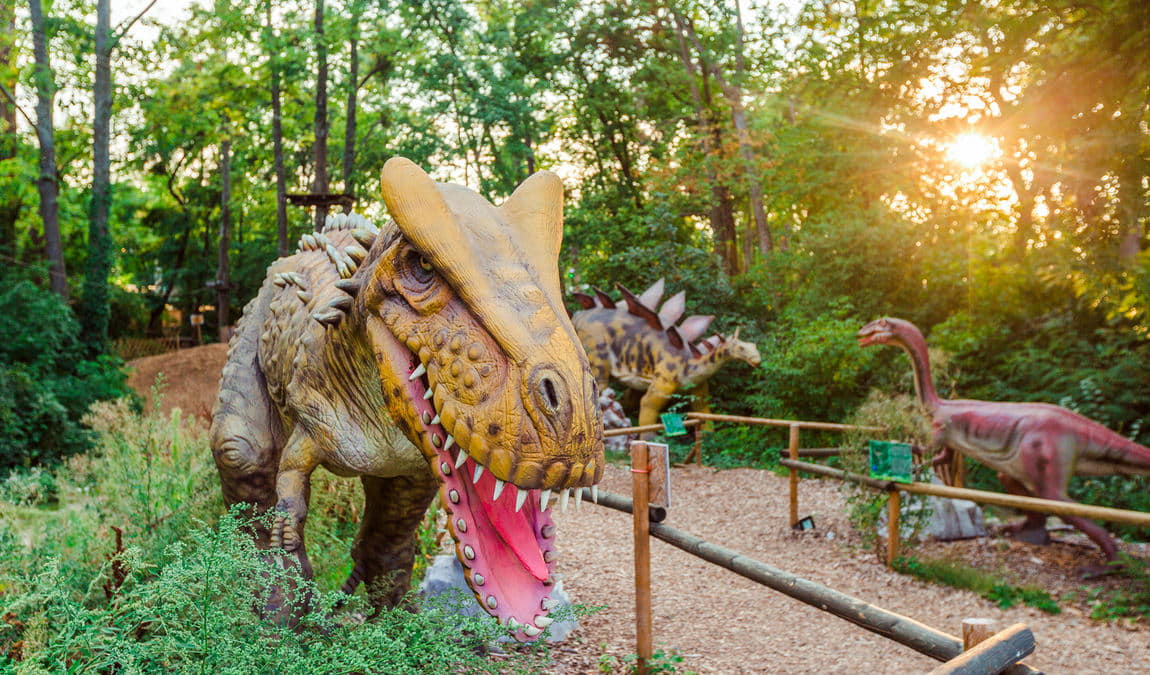 rope park tattendorf photo 5