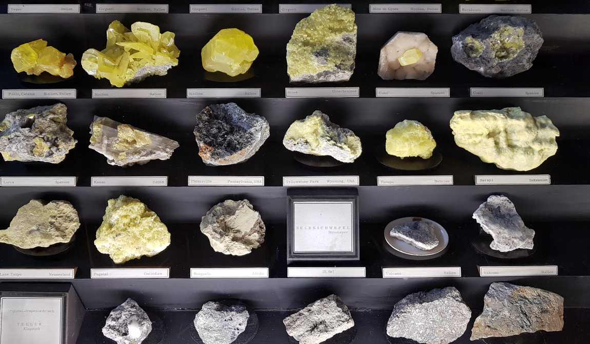 natural history museum vienna photo 4