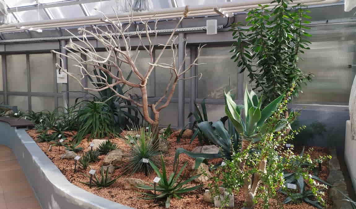 botanical garden of the faculty of science - masaryk university photo 4