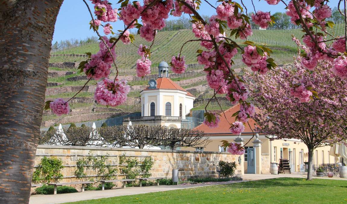 wackerbarth castle photo 1