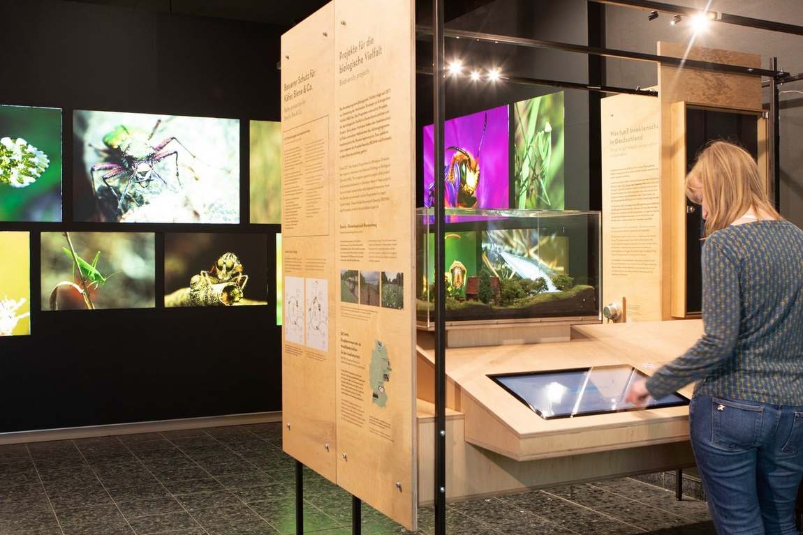 zoological museum hamburg photo 2