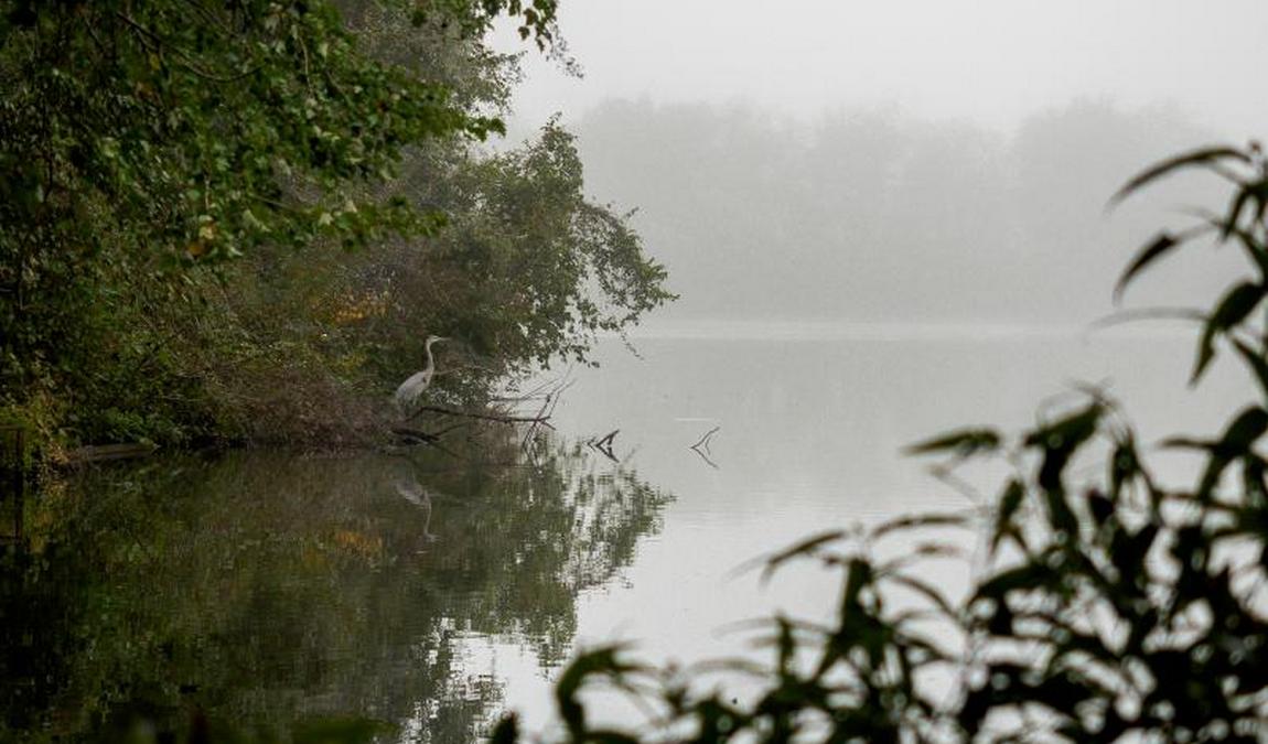 river park north photo 8