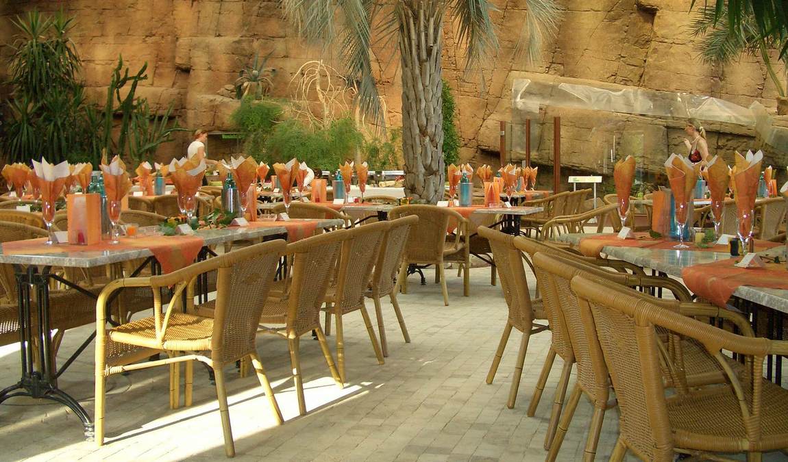 reptilium terrarium and desert zoo photo 8