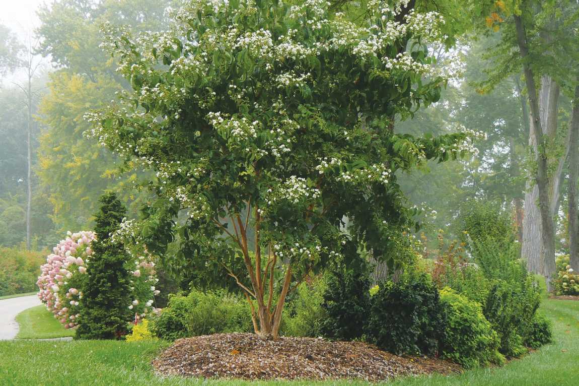 bullington gardens photo 6