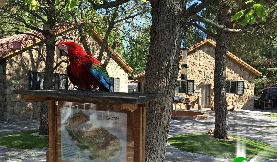 la granja de los cuentos photo 4