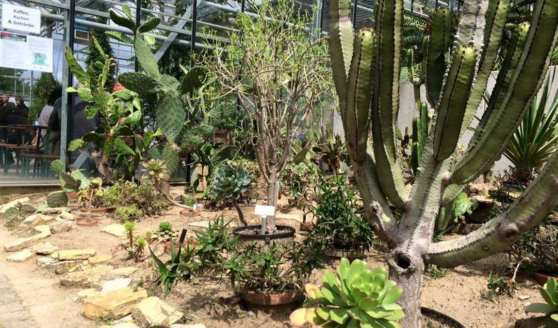 botanical garden osnabrück photo 2