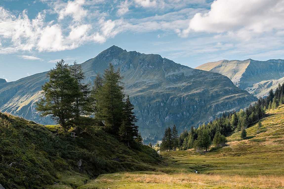 bio bauernhof tobhartbauer farm photo 6