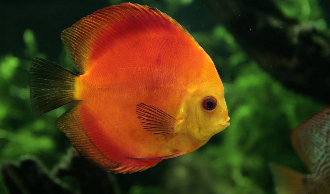 theme park marine aquarium photo 1