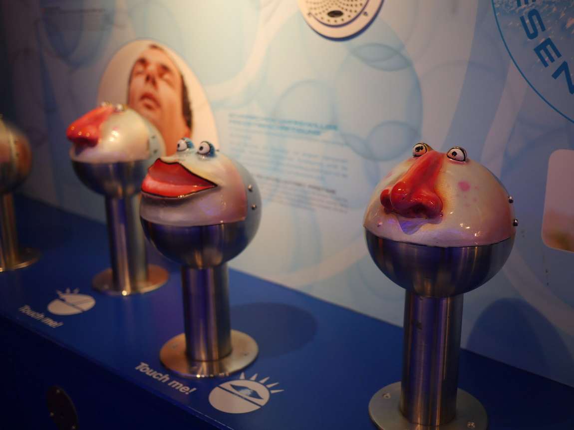 house of nature photo 11