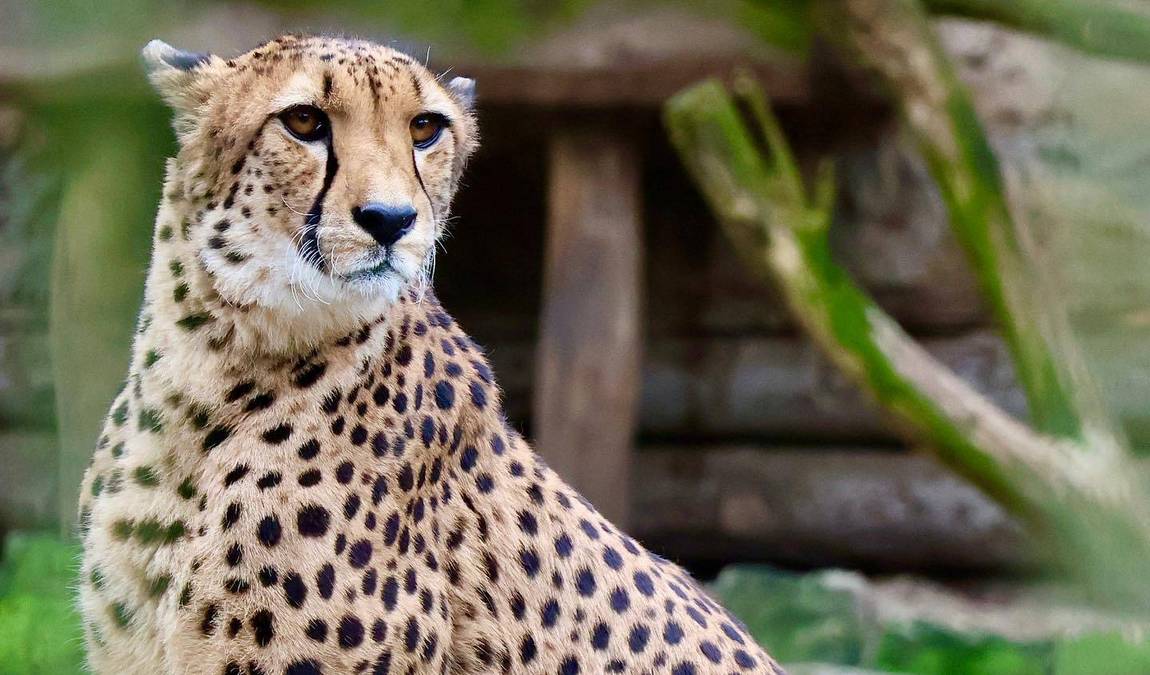 zoo eberswalde photo 3