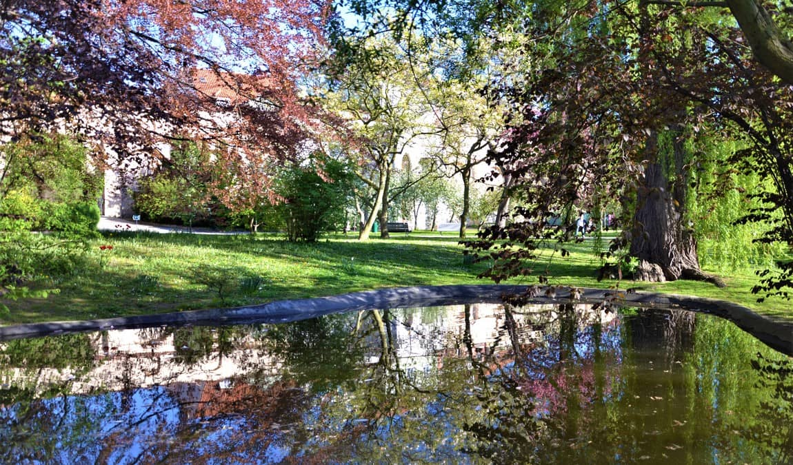 vojan gardens photo 2