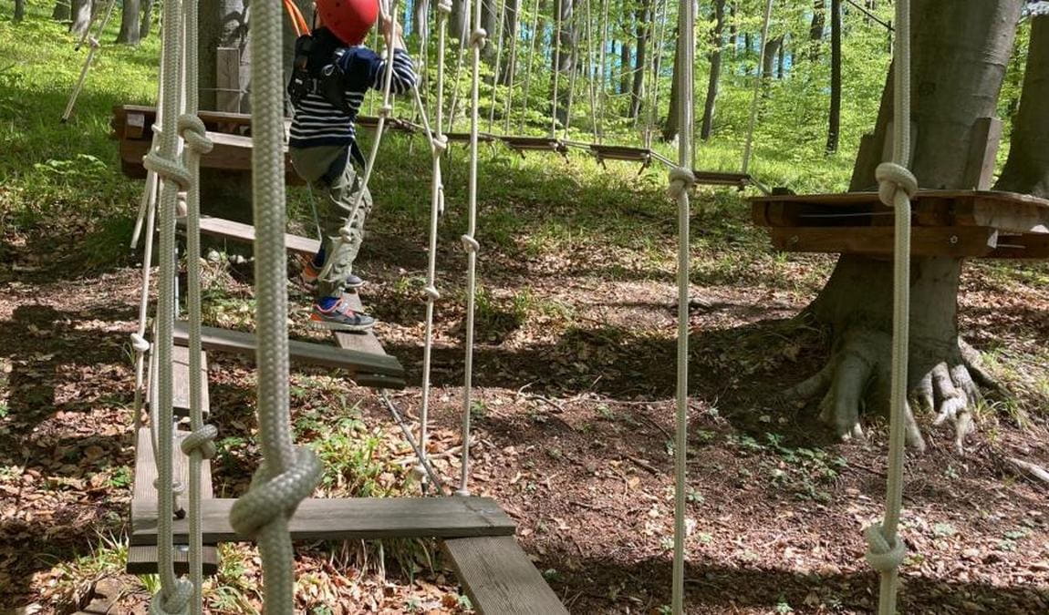 rope park purkersdorf photo 1