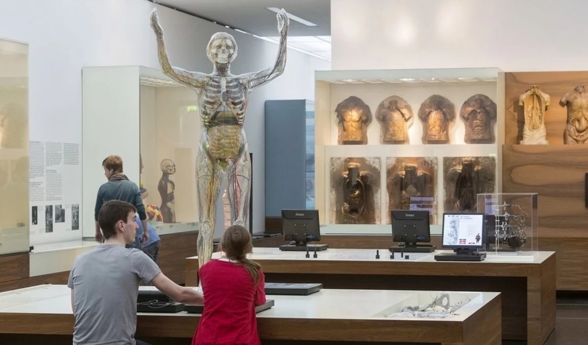  deutsches hygiene-museum photo 9