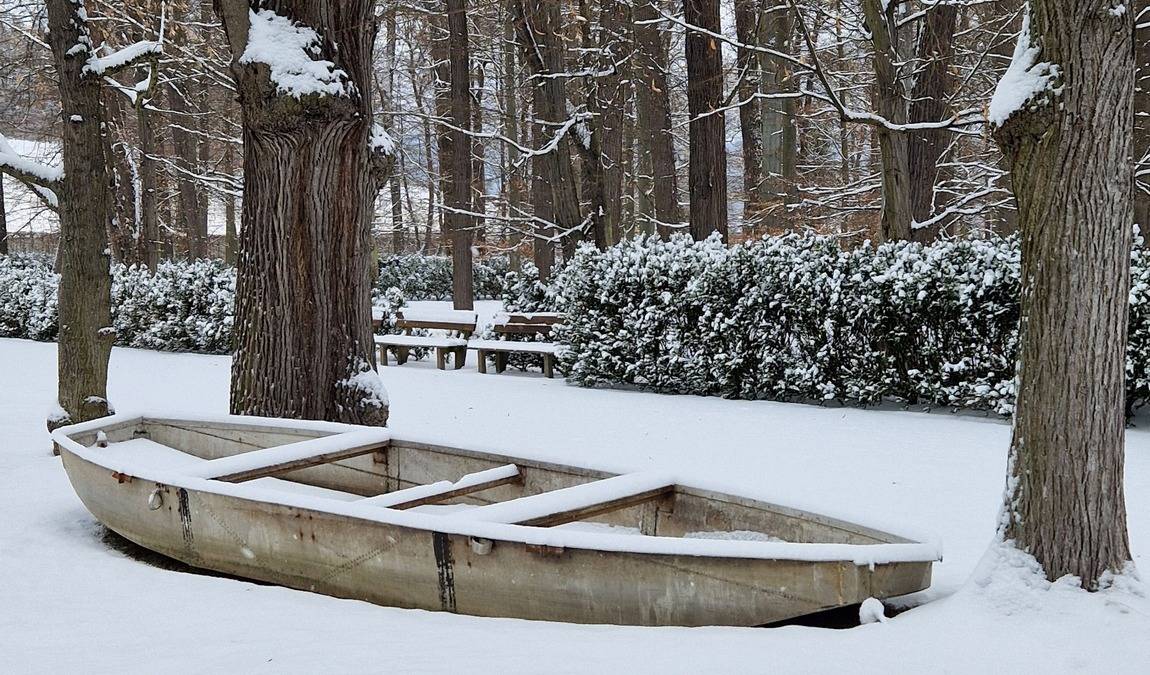 the castle garden photo 5