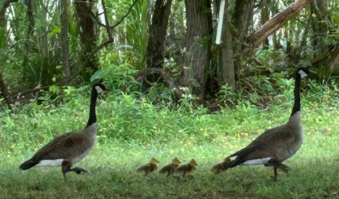 prairie ridge ecostation photo 6