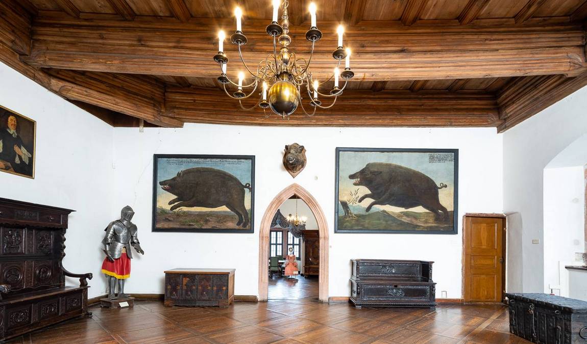 rochsburg castle photo 3