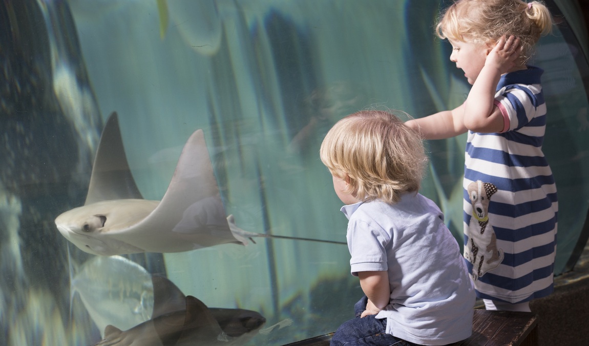 sea life hannover photo 8