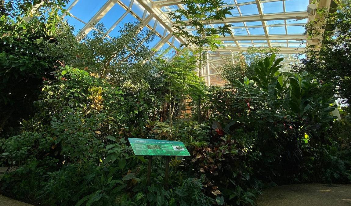 museum of life and science photo 2